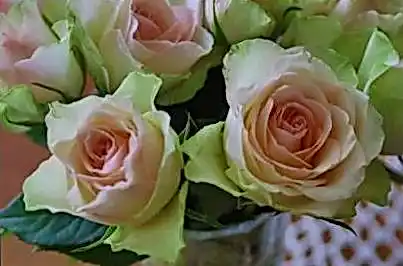 Arkada casino b2b439